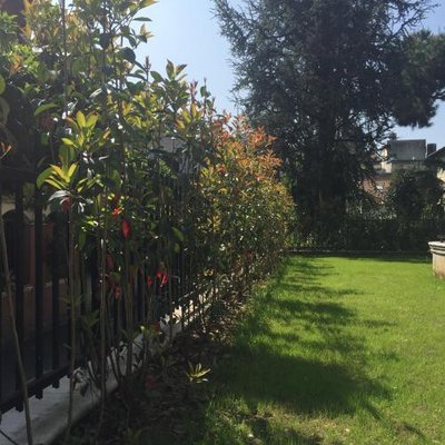 https://metasearch.in-lombardia.it/mss/mss_renderimg.php?id=44323&src=b7ca457f117a9dd38f52988d4d4734ed.jpg