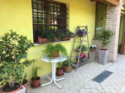 https://metasearch.in-lombardia.it/mss/mss_renderimg.php?id=51272&src=0d820a96670c357590861d68f33d8066.jpg