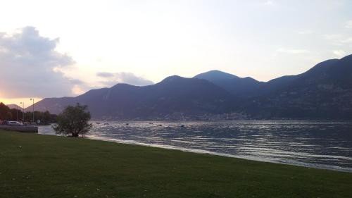 https://metasearch.in-lombardia.it/mss/mss_renderimg.php?id=53147&src=13264b09e5778fe42732c0dc794a36f3.jpg