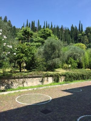 https://metasearch.in-lombardia.it/mss/mss_renderimg.php?id=62325&src=3a0fa9a511073a6e6e97f14a812cfe7f.jpg